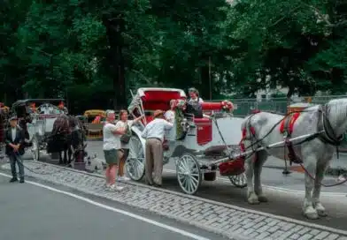 Nueva York