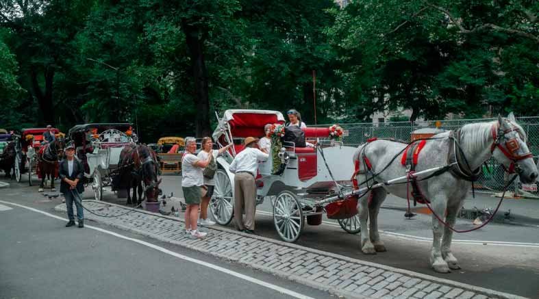 Nueva York se encamina a prohibir los carruajes a partir de 2028 1 Nueva York