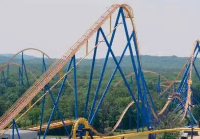 Six Flags