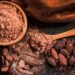 El cacao