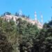 Buscarán
